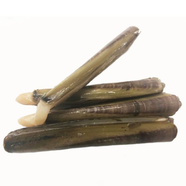CLAM BAMBOO
