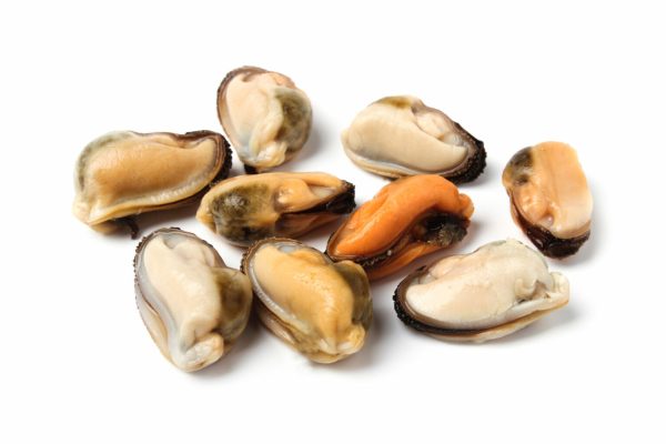 Frozen-Oyster-Meat-1536x1024